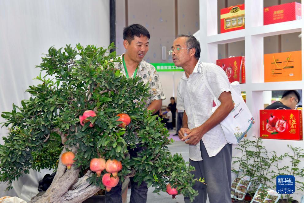 钱柜下载平台